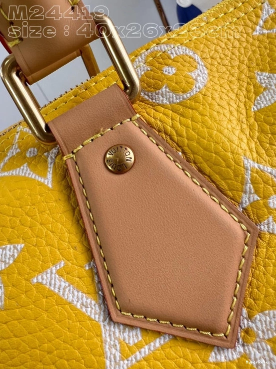 Vuitton Louis SPEEDY 40 0713